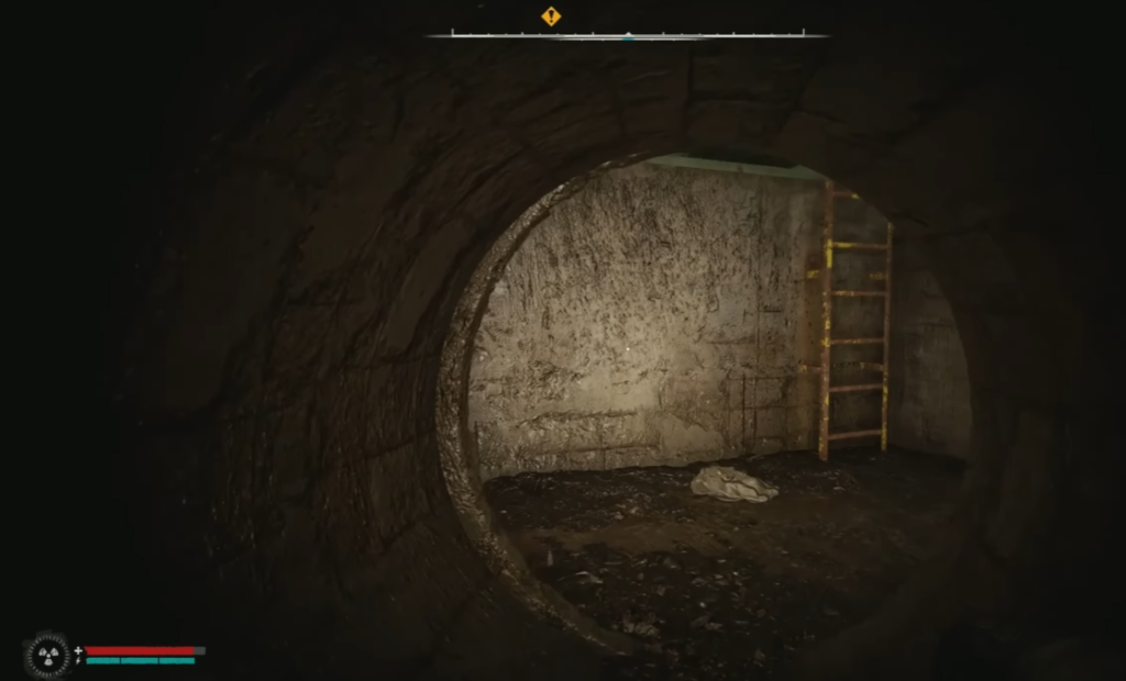 Looking through tunnel at ladder in sewer