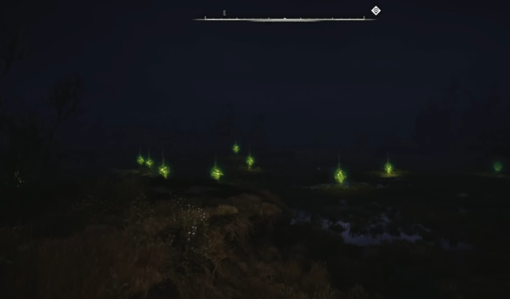 Glowing green lights hover over dark swamp