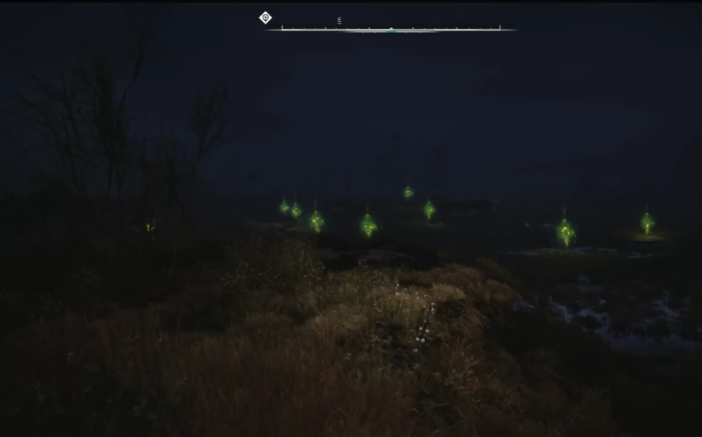 Green lights glowing in dark marshland