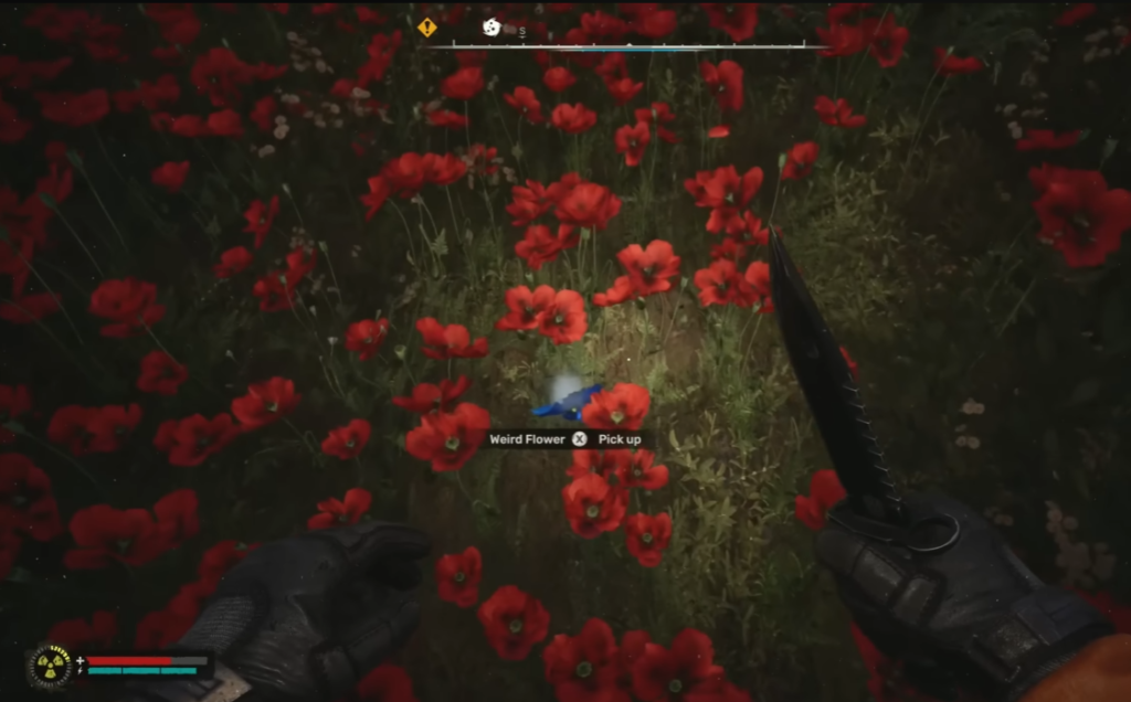 Picking up weird flower in red field