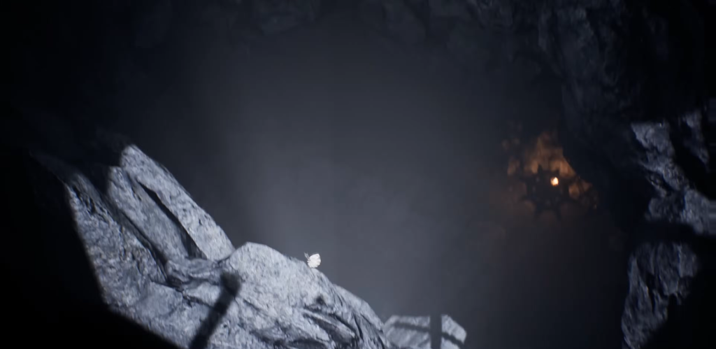 White butterfly resting on gray rock in cave