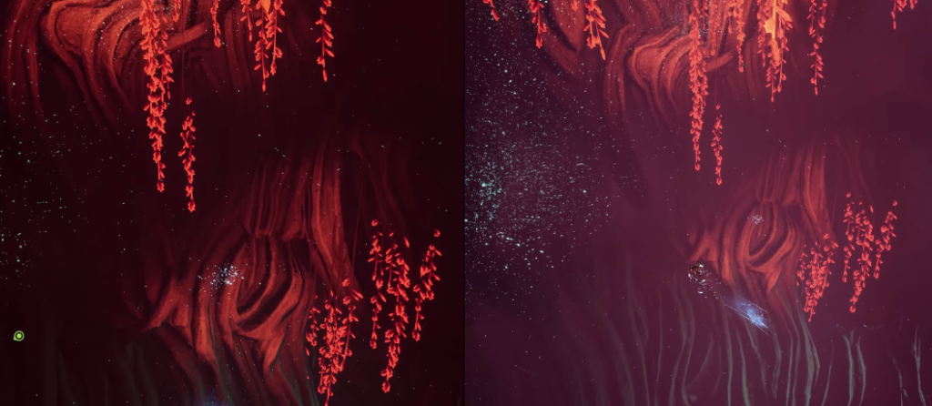 Small fish swims near red coral underwater
