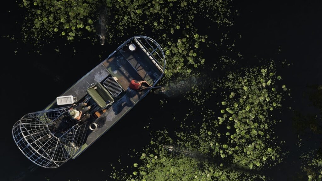 Airboat carrying two people through swamp with alligators
